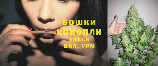 индика Каменск-Шахтинский