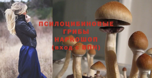 MDMA Premium VHQ Инсар