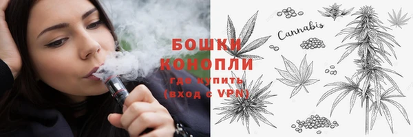 индика Каменск-Шахтинский