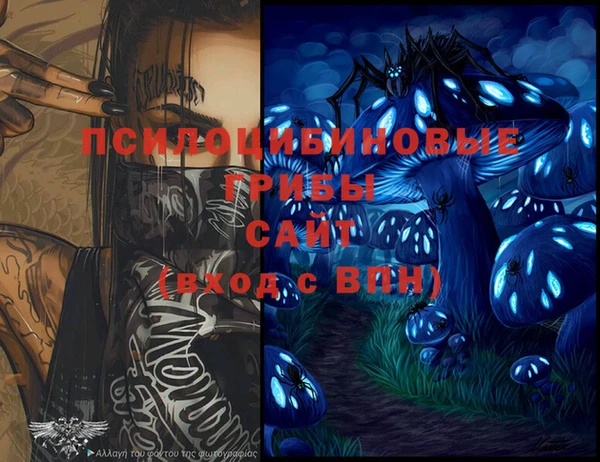 гашик Иннополис