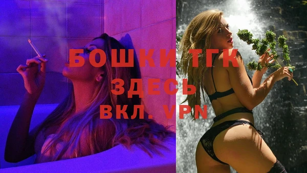 гашик Каменка