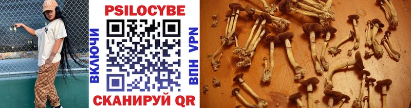 Галлюциногенные грибы мицелий  Нижняя Тура 